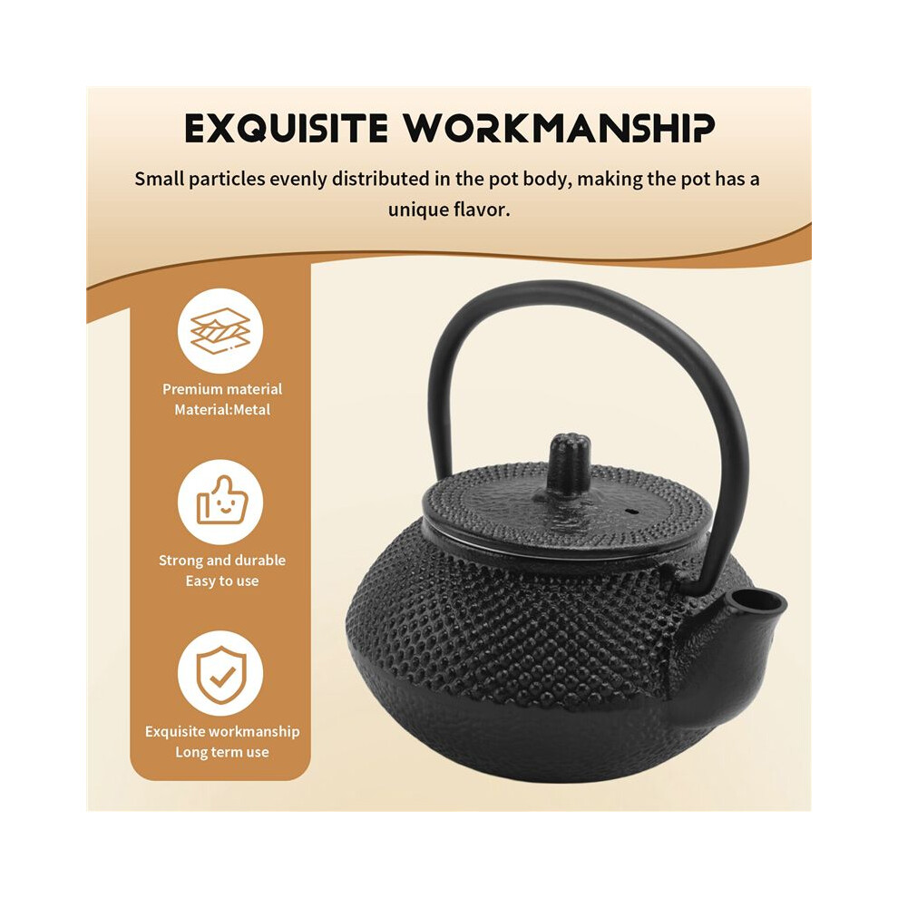 Iron Tea Pot With Stainless Steel Infuser Cast Japanese Iron Teapot Oolong Tea Puer Tea Tea Kettle 300Ml 4713656112428
