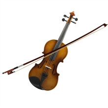 4/4 Full Size Acoustic Student Violin Kit with Bow Rosin and Protective Hard Case
