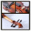 1/2 Size Beginner Violin for Kids with Precise Color Matching and Consistent Visual Finish 3