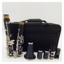 Bb Student Clarinet with Case and Reeds, Matte ABS Body, Bakelite 4C Mouthpiece