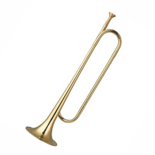 Gold Plated Brass C Trumpet for Beginners with Concert Pitch Tuning and Clear Tone Output