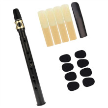 Pocket Saxophone for Beginners with Carrying Bag, Mini Saxophone for Students, Color 2 Design