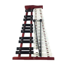25 Key Glockenspiel Xylophone with Clearly Marked Notes for Beginners Music Education