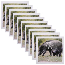 50Pcs Large Paper Targets for Indoor and Outdoor Archery Practice