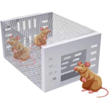 Automatic Stainless Steel Mouse Trap 2PC, Humane MultiCatch Rodent Control for Indoor Outdoor