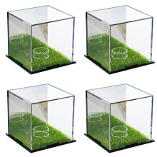 4X Golfball-Vitrine, Quadratische Golfball-Vitrine, Gedenkbox, Aufbewahrungsbox mit Acrylspiegel
