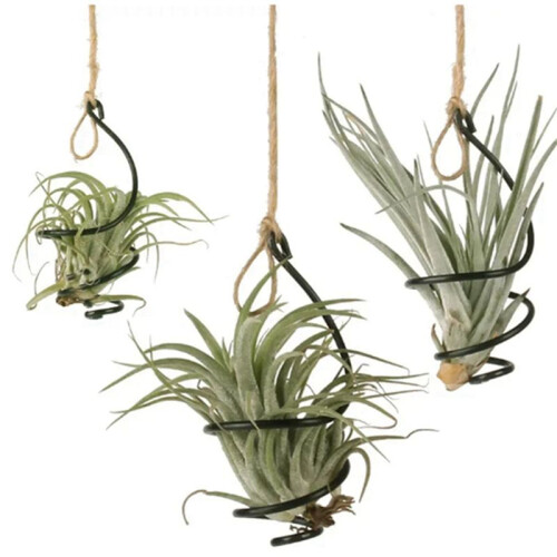 24X Air Pineapple Hook Hanging Flower Stand Pots Display Hanger Holder Iron 1