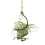24X Air Pineapple Hook Hanging Flower Stand Pots Display Hanger Holder Iron 6