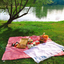 2X Panier de Panier de Pique-Nique en Osier de Style Campagnard avec Couvercle et Poignée et Doublures pour Pique-Niques, Fêtes et Barbecues