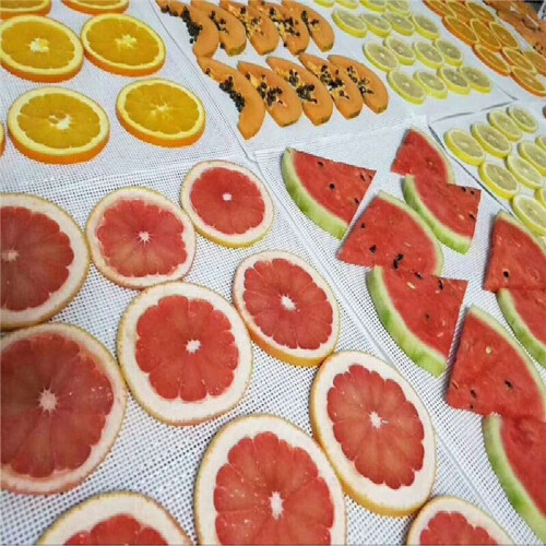 Dehydrator Sheet for Food Dehydrator,20 Pcs 29X37cm , Silicone Sheets, Fruit Dehydrator Mats, Silicone Dehydrator Sheets 1