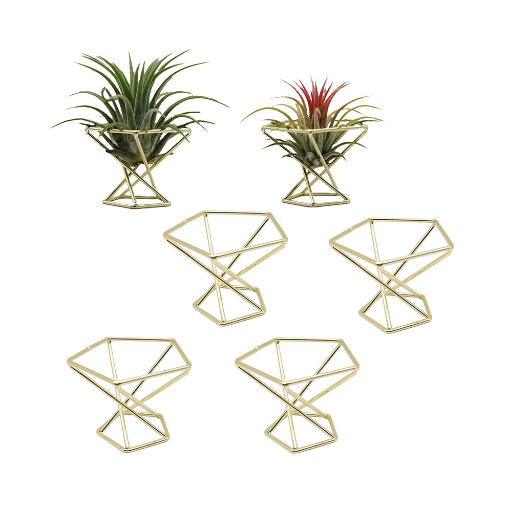 6 Pcs Geometric Air Plant Holder Airplants Rack Metal Plants Stand Planter Shelves Himmeli Decor Tillandsia Containers Golden 4712452242148