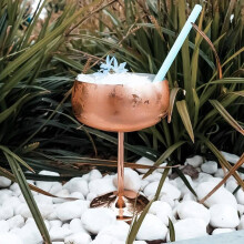 Copper Coupe Champagne Glasses Set of 4 Stainless Steel Vintage Martini Cocktail Glass Wine Goblet