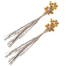 120Pcs Dried Craspedia Flowers Dried Billy Button Balls Flowers,Dried Flower Bouquet for Arrangements Wedding Home Decor