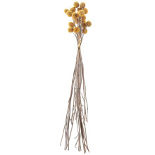 120 Stks Gedroogde Craspedia Bloemen Gedroogde Billy Button Ballen Bloemen, Gedroogde Bloem Boeket voor Arrangementen Bruiloft Home Decor