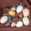12PCS Beech Wood DIY Easter Egg Set - 24x6x22cm Artificial Bird Eggs 7