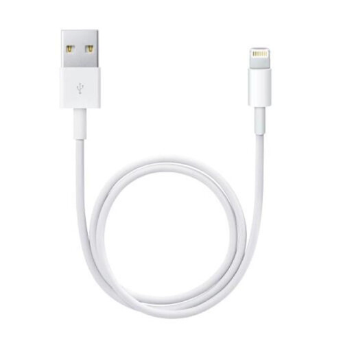 Apple Apple Lightning to USB Cable (0.5 m)