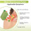 12PC Knee Patch Lumbar Waist Patch Cervical Spine Patch Foot Patch Heat Patches Extract Continuously Warm Lumbar Patch 9
