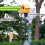 Adjustable 92 Inch Bird Feeder Pole with Sliding Squirrel Baffle and FiveClaw Base for Backyard 4