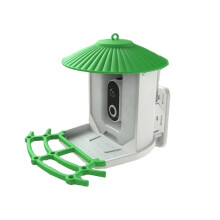 Smart Bird Feeder with Camera Solar Powered AI Species Identification Outdoor Weatherproof Design