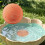 2 Pcs Copper Bird Bath Disc Cleaner, Rust Resistant, Stable Support, Fits Outdoor Bath Styles 2
