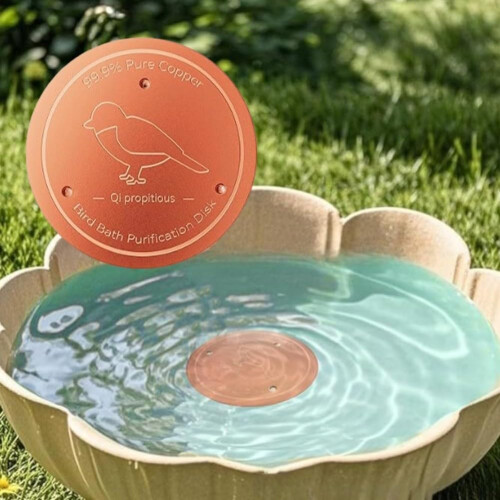2 Pcs Copper Bird Bath Disc Cleaner, Rust Resistant, Stable Support, Fits Outdoor Bath Styles 1