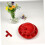 2pcs Automatic Chicken Waterer Dual Poultry Drinking Bowl Set with Automatic Refill for Coop 5