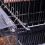 Automatic Window Bird Feeder with Stained Glass, Automatic Seed Dispensing, Dual Mount Options 4
