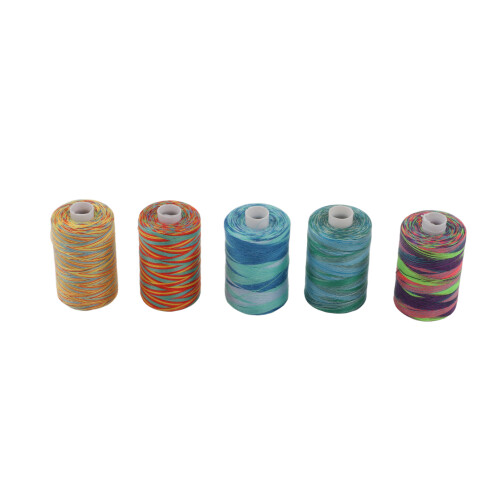 10Pcs Polyester Sewing Thread Set Durable Variegated Colours 402 for Embroidery 2