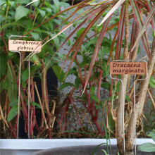 Paquete de 90 Etiquetas de Planta de Metal de Placa de Cobre de 10 Pulgadas de Alto Etiquetas de Estaca de JardíN Marcadores de JardineríA de