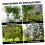 Bark Scraper for Small to Medium Logs, Smooth Burr Finish, Fast Tree Bark Removal Tool 2
