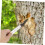 Bark Scraper for Small to Medium Logs, Smooth Burr Finish, Fast Tree Bark Removal Tool 3