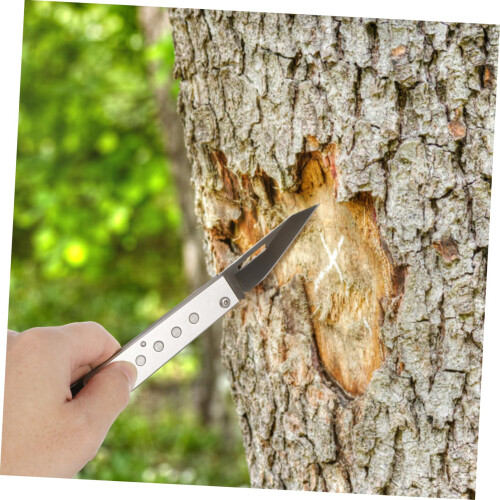 Bark Scraper for Small to Medium Logs, Smooth Burr Finish, Fast Tree Bark Removal Tool 2