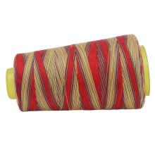 Multi-Color Embroidery Thread 3000 Yards High Strength Polyester for Sewing