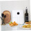 Air Fryer Rack Set Stainless Steel Round Stackable MultiTier Cooking and Baking Accessories 3