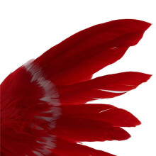 2X Artificial Bird Feathers Plastic Figurine Landscape Ornament Garden Decor Christmas DIY Halloween - 3(Red Tail)