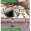 19 Inch Squirrel Proof Baffle for Bird Feeders, Rustproof Pole Guard for Shepherd Hooks Black 3