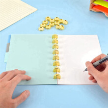 20 StüCk Goldscheiben Binderinge Plastik Buchbindescheiben für Notizbuch und Planer Scrapbooking (Gold)