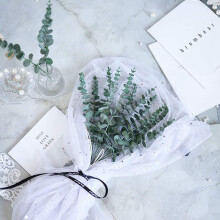 20 Stks Kunstmatige Eucalyptus Stengels Bladeren Nep Grijs Groen Eucalyptuses Plant Takken Faux Groen Stengels voor Bruiloft