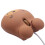 Mouse da Gioco Ottico Cablato da 1000 Dpi Simpatico Orso Animale Mouse USB per PC Portatile Console di Gioco in Plastica Marrone 7