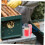 Bee Queen Marking Cage and Marker Bottle for Beekeepers with Clear Identification Marks 4
