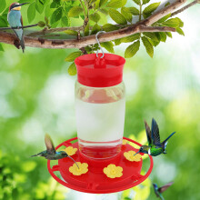 Plastic Hummingbird Feeder with Ant Moat, Leakproof 6 Ports and Bee Guards, 16oz Outdoor Garden