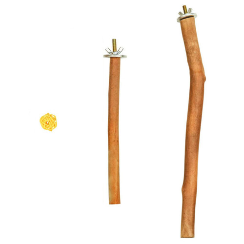 1Set Vogelklimstok Pet Accessoire En Comfortabel