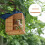 1Set Vogelklimstok Pet Accessoire En Comfortabel 3
