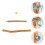 1Set Vogelklimstok Pet Accessoire En Comfortabel 9