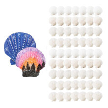 100 St Sea Shell för Crafting Naturliga Stora Pilgrimsmusslor Vita Ostronskal Bulk för Att Dekorera DIY Home Beach