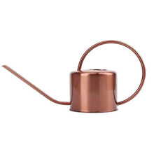 Stainless Steel Indoor Plant Watering Can 1000ml Long Spout Retro Garden Pot Rust Resistant