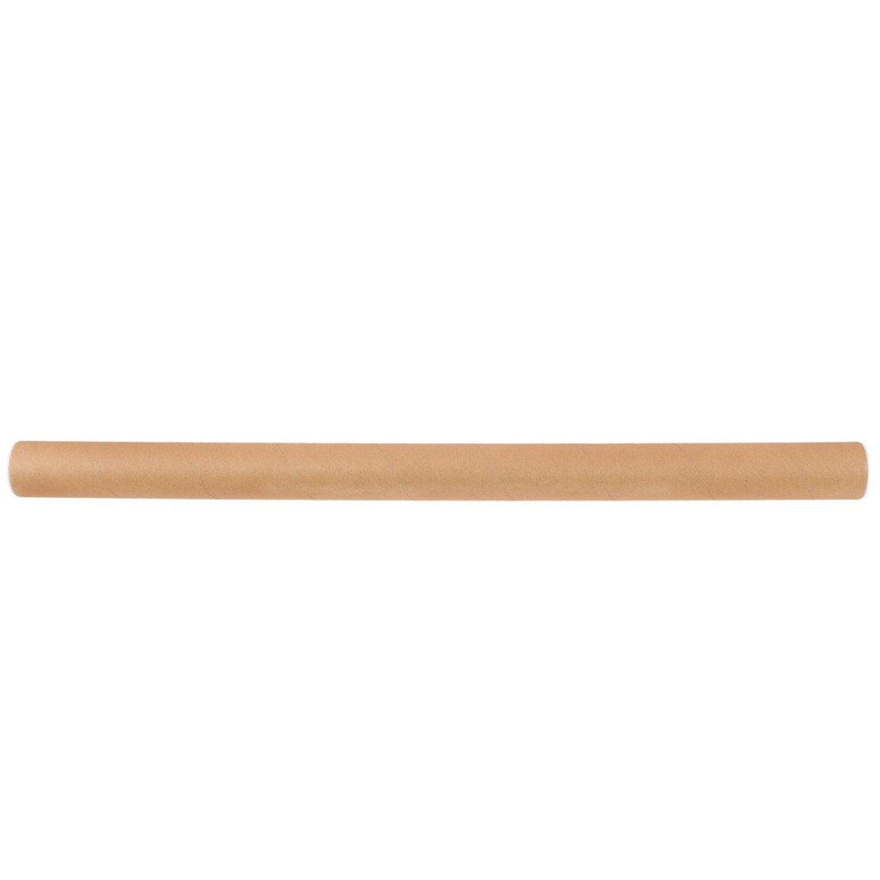 Poster Tube Reusable Document Storage Tube with AntiCrease Protection for Artwork and Drawings
