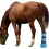 Adjustable Horse Soaker Bag Replacement Practical PVC-Blue 7