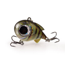 Big Eyes Fishing Lure 4cm 8.50g Vibration Lure For Long-07