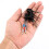 55PCS Auto Car Plug Circuit Board Wire Harness Terminal Extraction Pick Connector Crimp Pin Back Needle Remove Tool Set 7